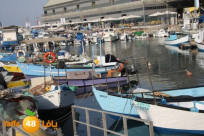 الاثنين: تظاهرة للصيادين أمام وزارة الزراعة في بيت دجن ودعوة الأهالي للمشاركة 